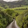 English countryside